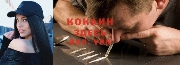 гашик Лагань