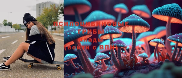 тгк Ладушкин