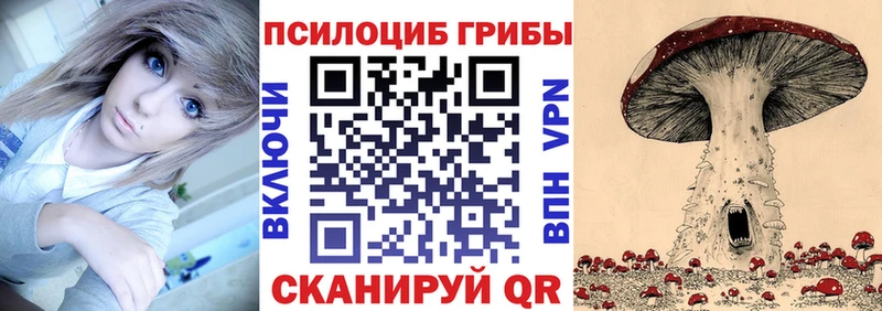 Купить закладки  Ревда  Псилоцибиновые грибы Magic Shrooms 
